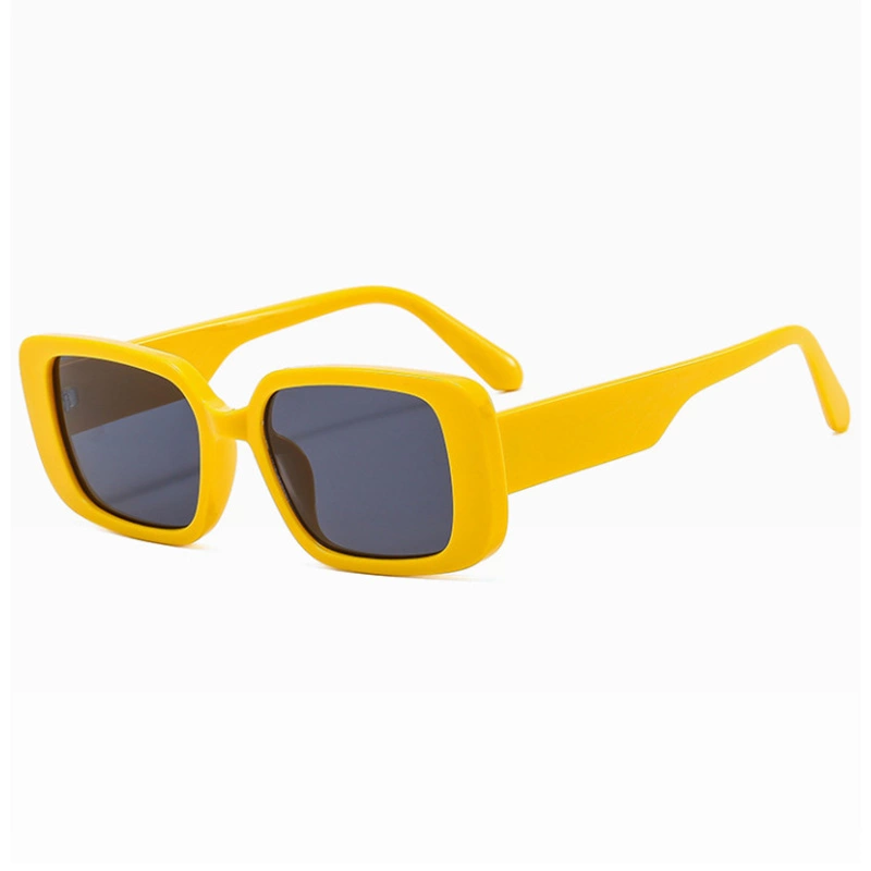 Ladies' square sunglasses ZN3644