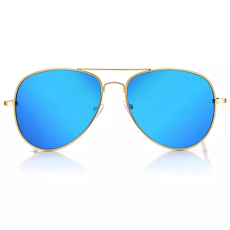 Classic Aviator Sunglasses ZN4005