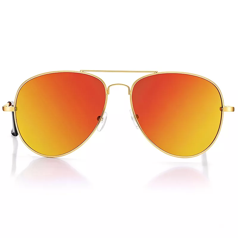 Classic Aviator Sunglasses ZN4005