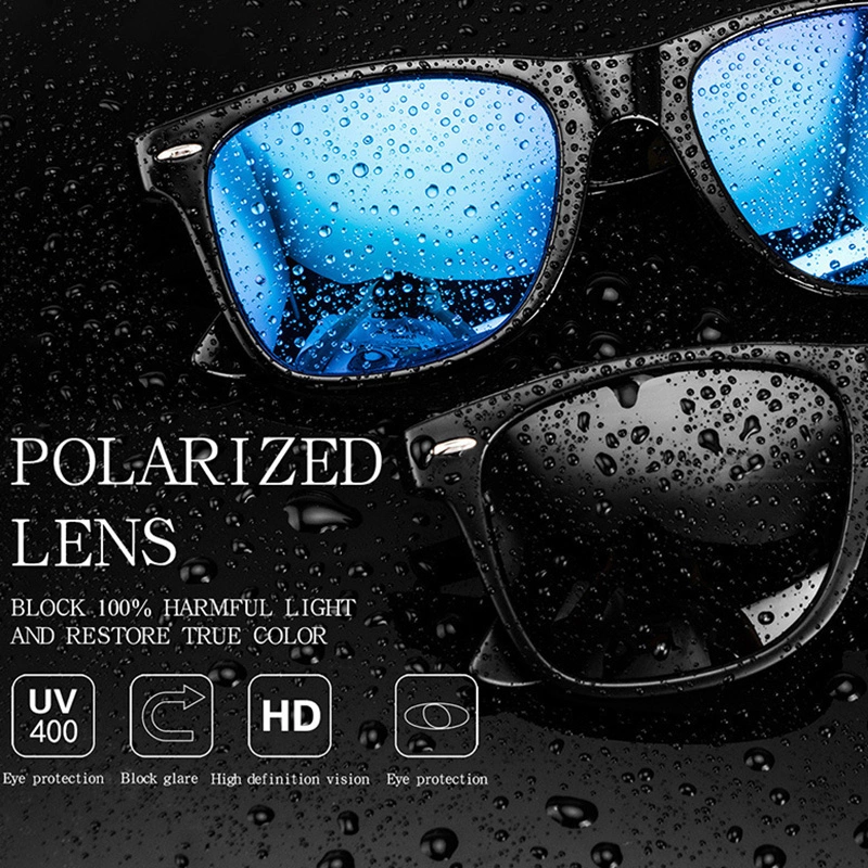 Polarized Sunglasses ZN4047