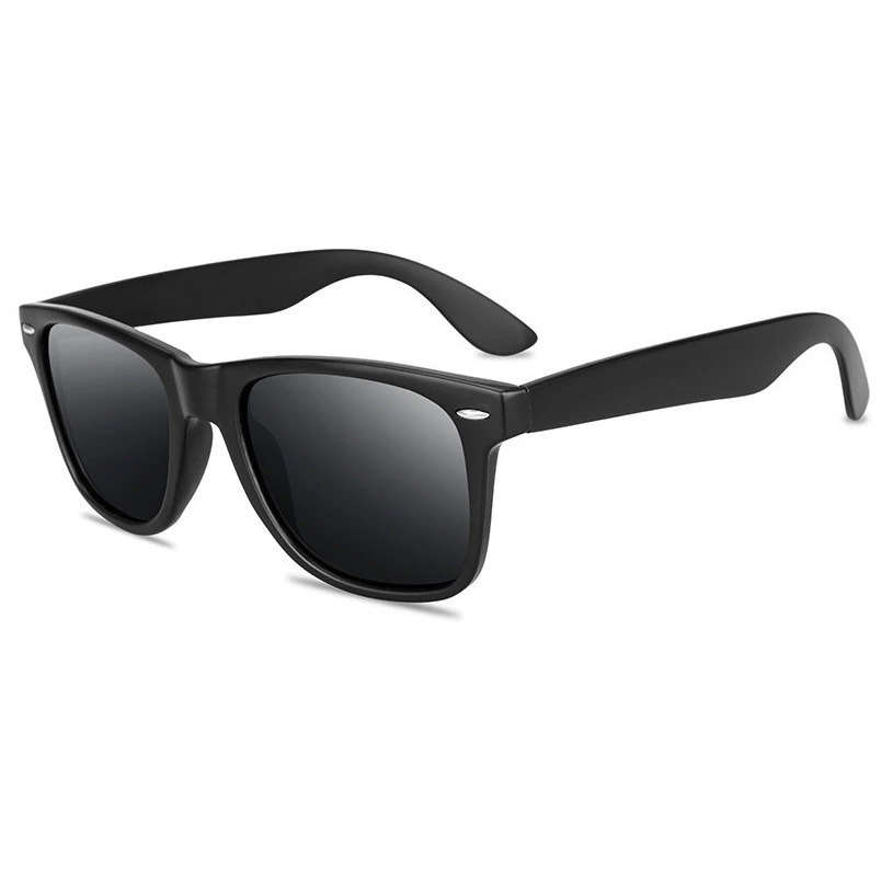 Polarized Sunglasses ZN4047
