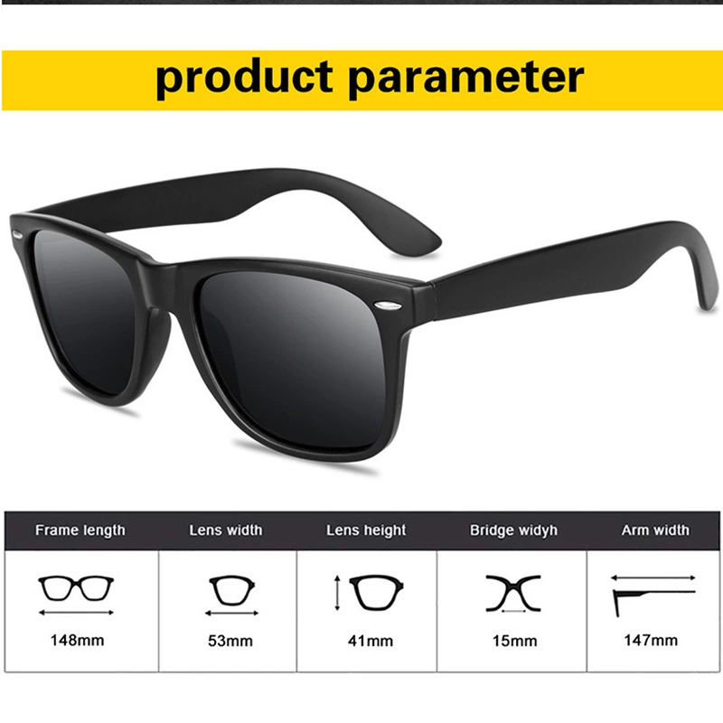 Polarized Sunglasses ZN4047