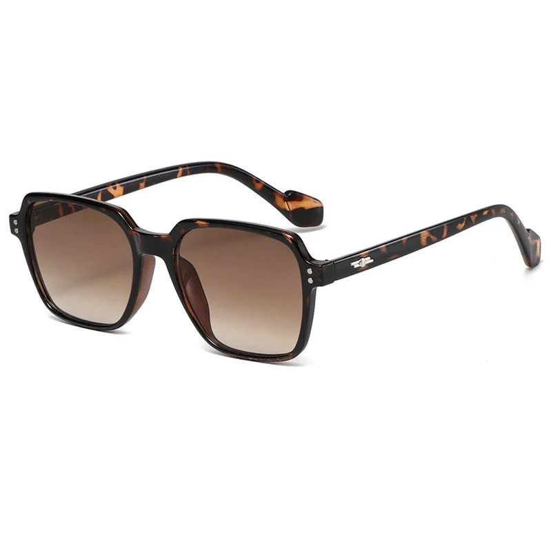 Classic Womens Sunglasses ZN4158