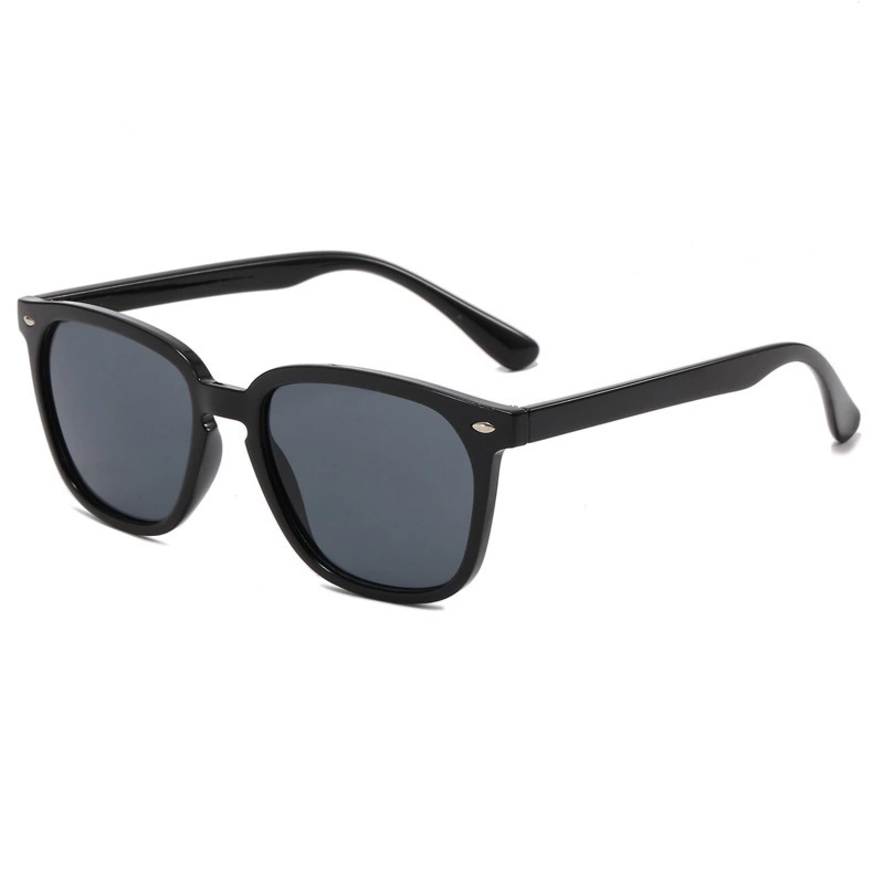 Sport Casual Sunglasses ZN4176