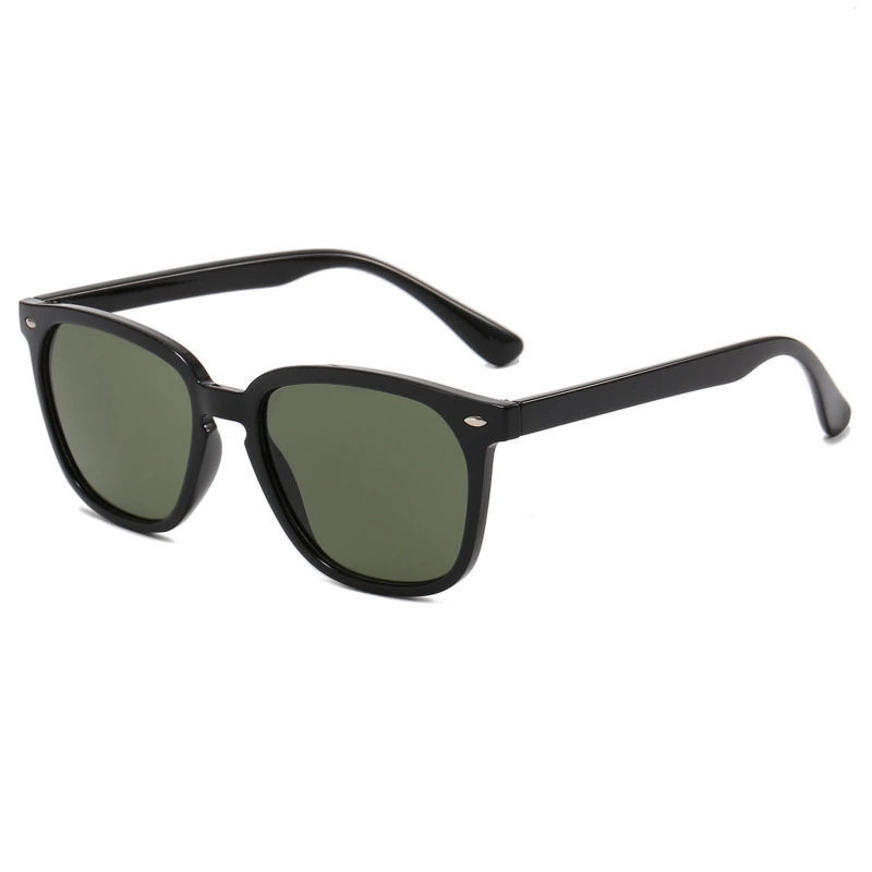Sport Casual Sunglasses ZN4176