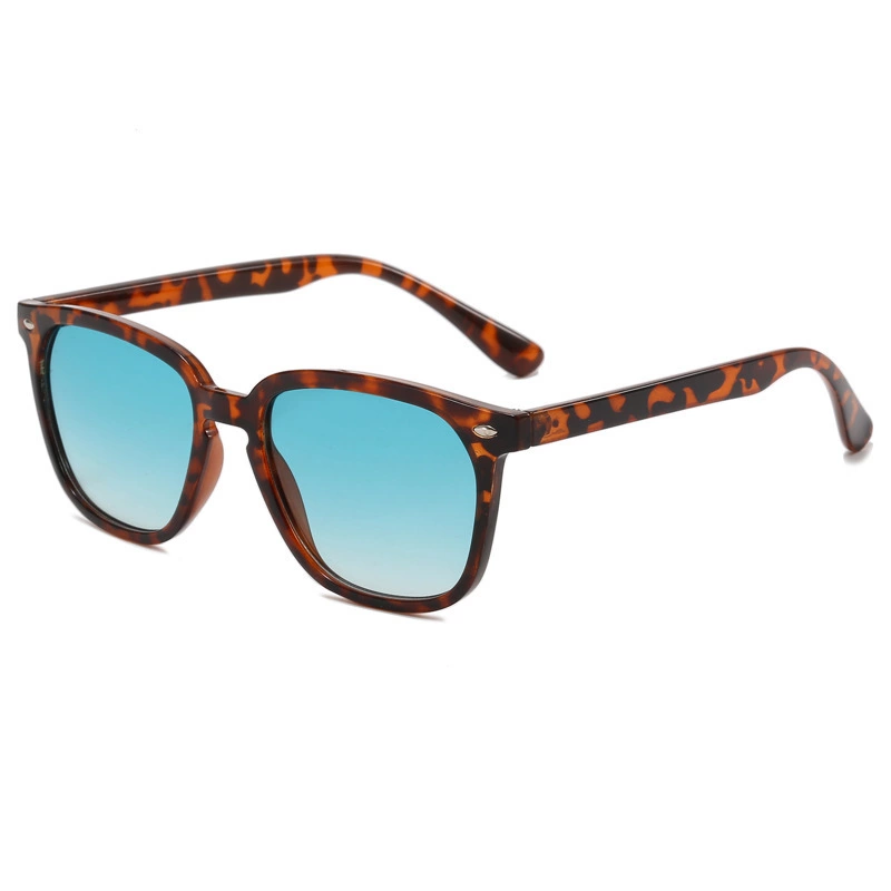 Sport Casual Sunglasses ZN4176