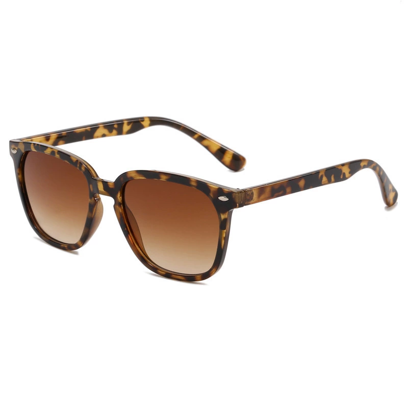 Sport Casual Sunglasses ZN4176