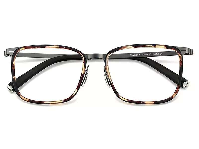 Pure titanium frame